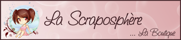 SCRAPO_900